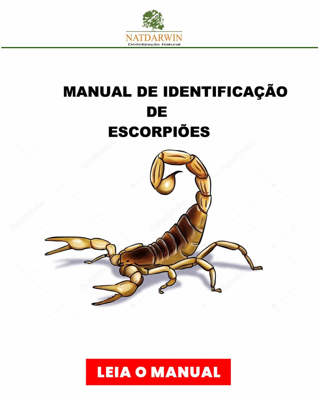 escorpiao-manual Veicular